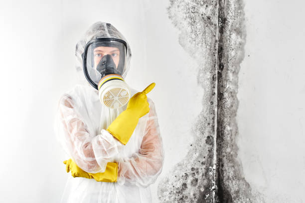 Best Forensic Mold Investigation  in USA